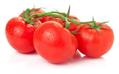 branch of tomatoes isolated on white