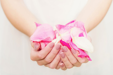 Hands with natural color nails manicure holding bright pink rose petals