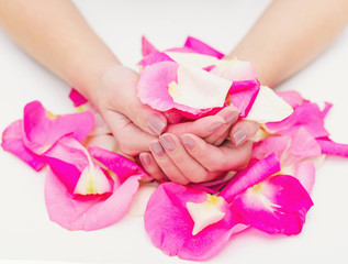 Obraz na płótnie Canvas Hands with natural color nails manicure holding bright pink rose petals