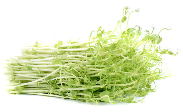 pea sprouts on white background