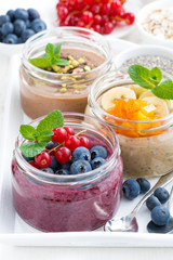 assorted breakfast of chia seeds and fruits in jars, closeup