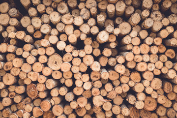 Stacked of wood log  for construction buildings background