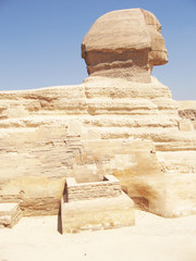 The Sphinx in Egypt. Side view.