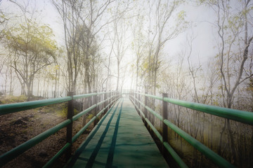 Long footpath or bridge in white fog to light at the end, concep