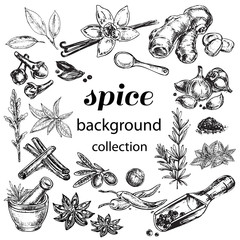 spice collection - obrazy, fototapety, plakaty