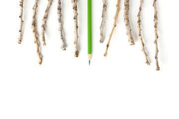 Набор цветных карандашей и веточек на белом фоне.