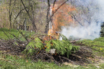 Fire and Smoke from during Burning branches