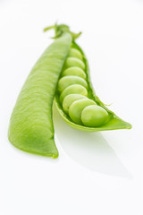 Fresh green pea pod vertical closeup, isolated on white background