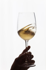 verre de vin blanc frais
