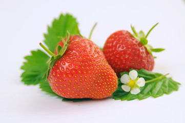 strawberry