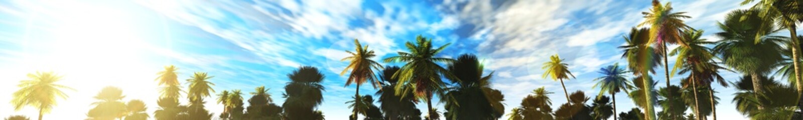 Fototapeta na wymiar palm grove, panorama, 3D rendering. Palm trees against the blue sky with clouds. 