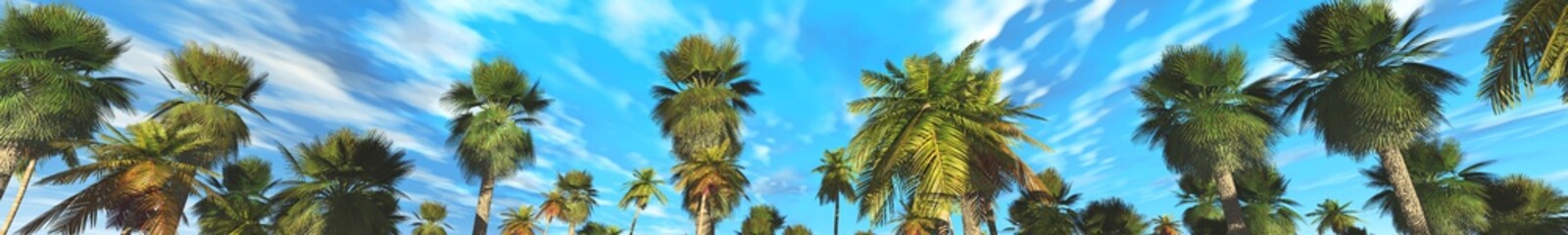 palm grove, panorama, 3D rendering.
Palm trees against the blue sky with clouds.

