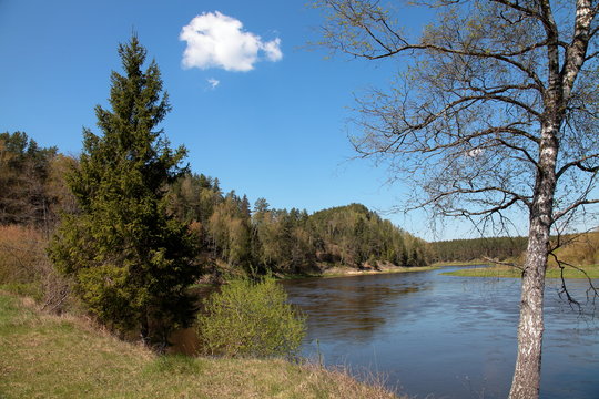 Neris river image