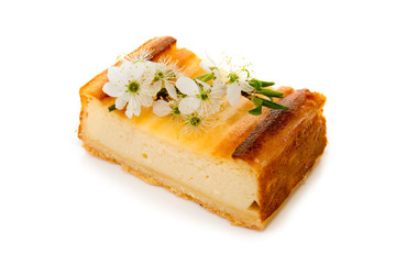 Cheesecake isolated on white background.