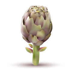 Obraz premium Carciofo