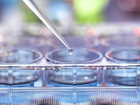 Genetic research