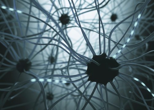 Human nerve cells, illustration