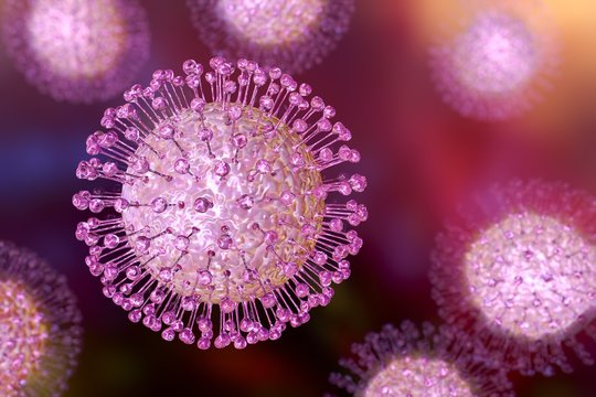Zika virus, illustration