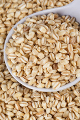 white spoon and wheat.