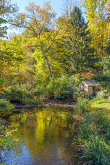 Autumn Pond Landscape