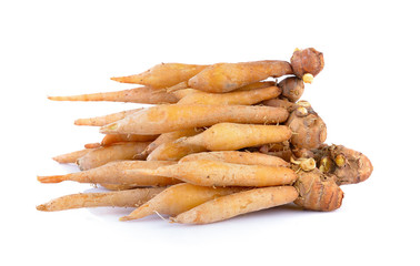 finger root on white background