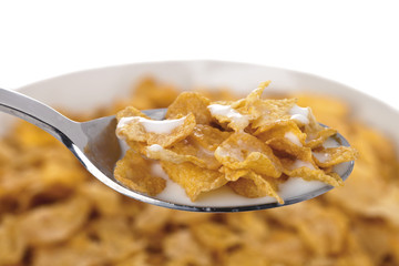 corn flakes with milk