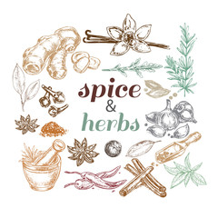 spice and herbs collection