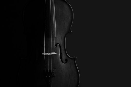 Violin black and white artistic conversion rim lighting