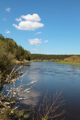 Neris river in spring