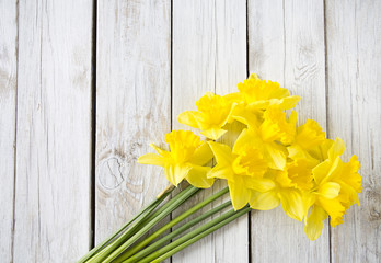 beautiful narcissus on wooden background