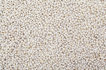 Fototapeta premium top view of white beans.