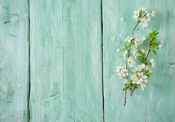 spring flowers on wooden surface