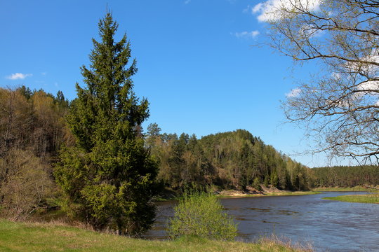Neris river image