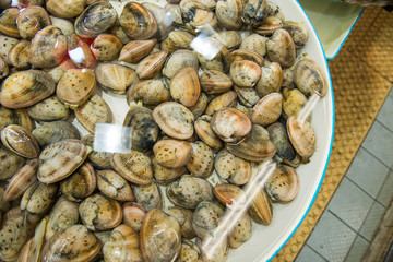 Small live clams being stored in water at market in Asia