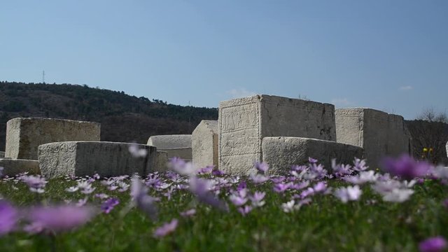 Medieval Tombstones (stecak, stecci) in Herzegovina from the Middle Ages