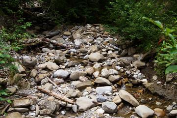 kleiner Bach in den Bergen