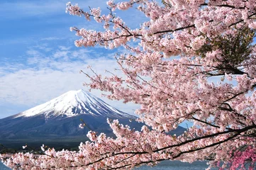 Fleecedeken met foto Mount Fuji en kersenbloesems © Goryu