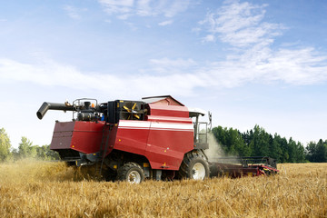Fototapeta na wymiar red harvesting combine working on a wheat field