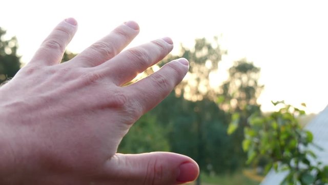 Sun's rays through fingers palm