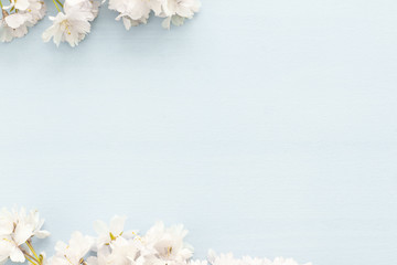 Blumen Hintergrund