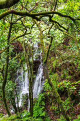 Waterfall in the forest