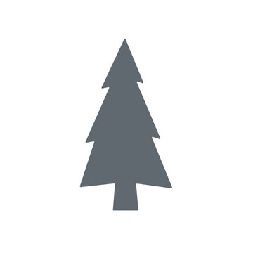 Evergreen conifer  pine tree flat stylized icon