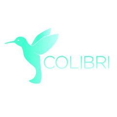 Colibri logo element, hummingbird, isolated on white, vector illustration