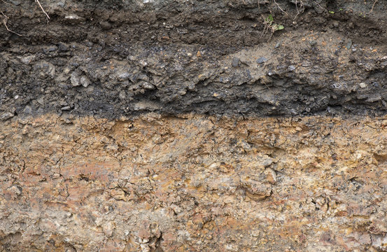 Cross section of underground soil layers.
