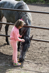 Girl stroking horse