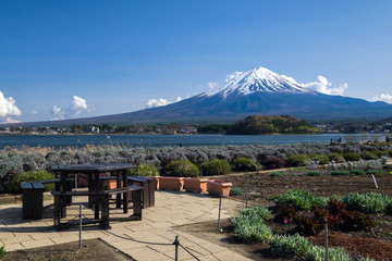 Beautiful view of Fujisan Mountain in spring, Kawaguchiko lake, Japan