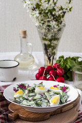 Salad radishes and cucumbers in sour cream sauce