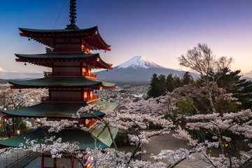 Beautiful view of Mountain Fuji and Chureito Pagoda with cherry blossom in spring, Fujiyoshida,...