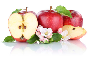 Apfel Äpfel rot Frucht Früchte Obst geschnitten Hälfte Freist