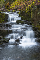 Fototapeta na wymiar Waterfall in Lumsdale Valley in Matlock, Derbyshire, UK
